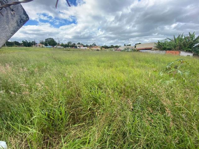 Terreno em Vila São João, Sarapuí/SP de 7000m² à venda por R$ 1.499.900,00