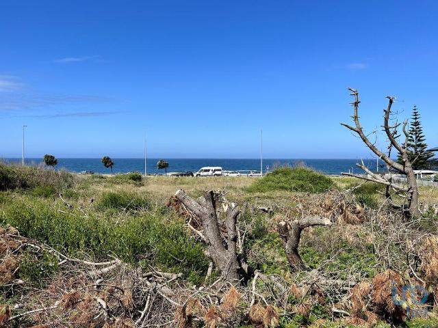 Terreno em Vila Praia de Âncora de 3300,00 m²