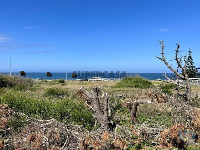 Terreno em Vila Praia de Âncora de 3300,00 m²
