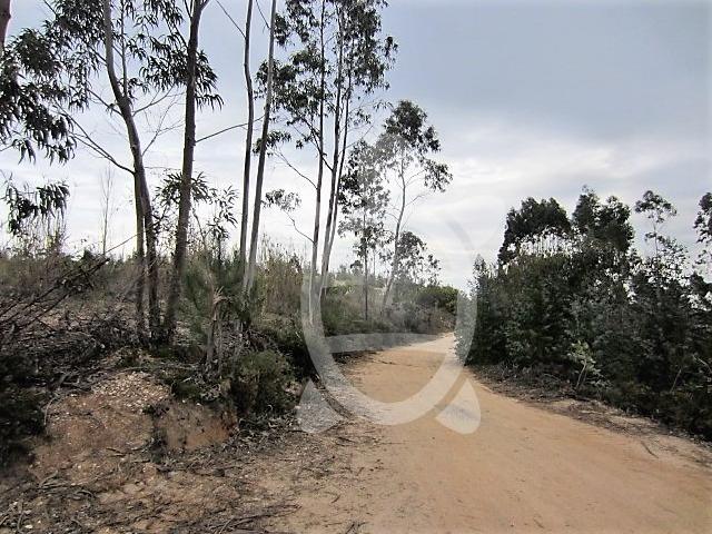 Terreno em Vila Verde