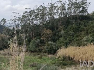 Terreno em Vila Verde dos Francos de 2520,00 m²