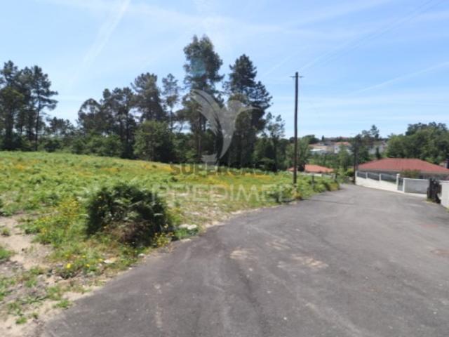 Terreno em Vila Verde e Barbudo
