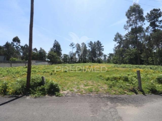 Terreno em Vila Verde e Barbudo