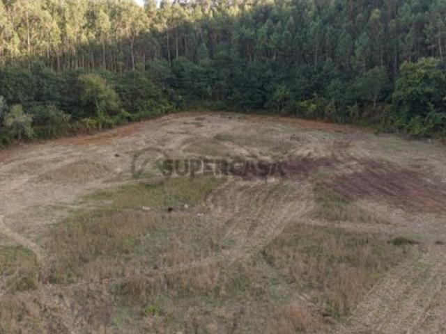 Terreno em Vila Verde e Barbudo