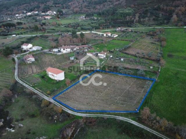 Terreno em Vilar de Nantes