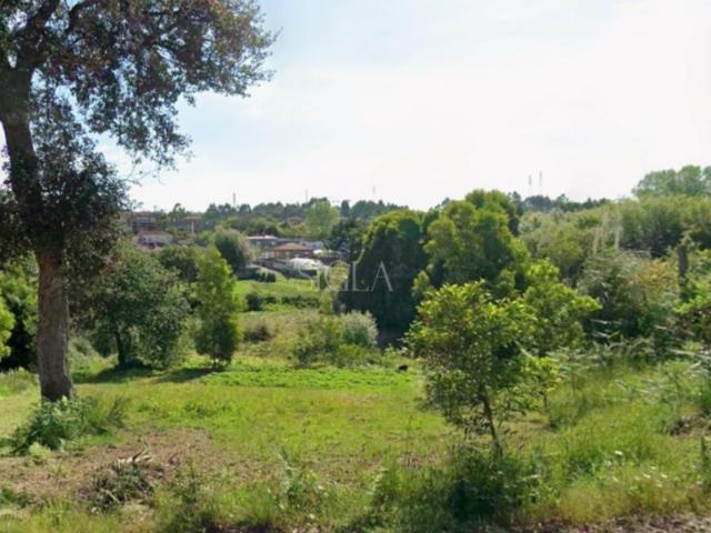 Terreno em Vilar de Paraiso