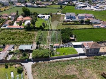Terreno em Vilar de Pinheiro
