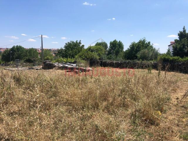 Terreno em Vilar Formoso