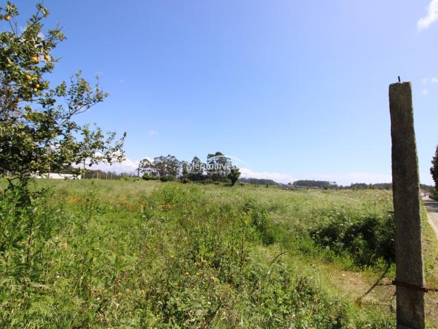 Terreno em Vilar Vila do Conde