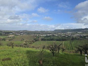 Terreno em Vilar