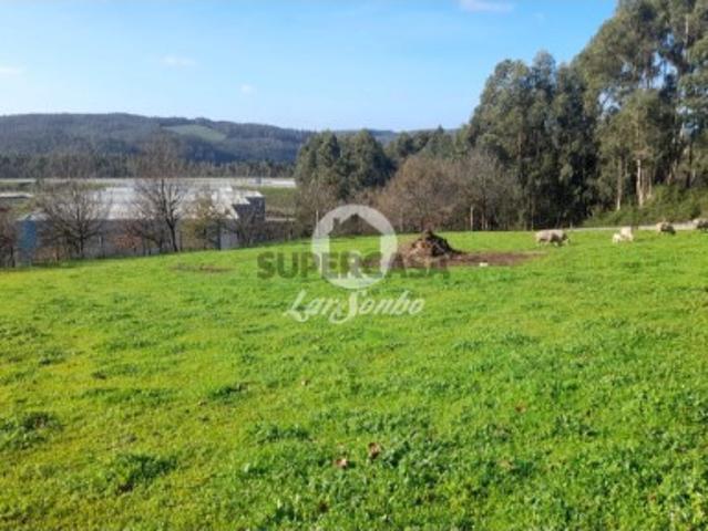 Terreno em Vila Nova de Famalicão e Calendário
