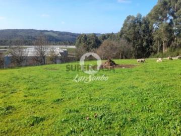 Terreno em Vila Nova de Famalicão e Calendário