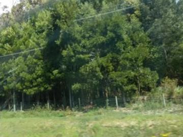 Terreno em Viseu