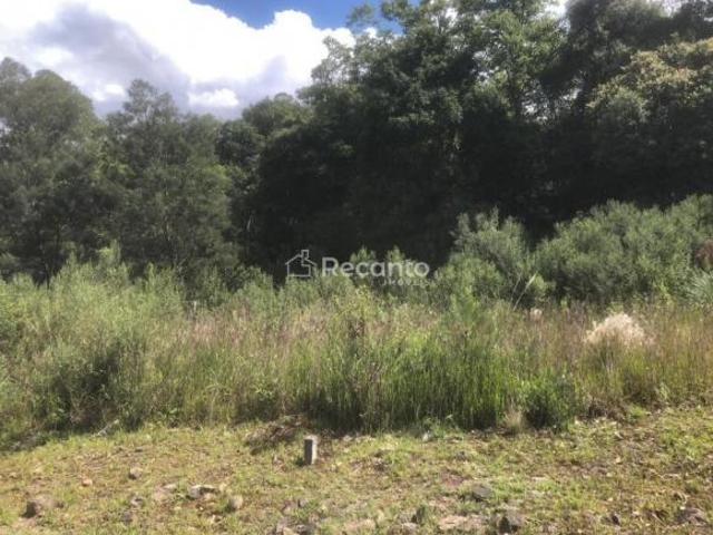 Terreno em Vivendas Do Arvoredo, Gramado/RS de 594m² à venda por R$ 850.000,00