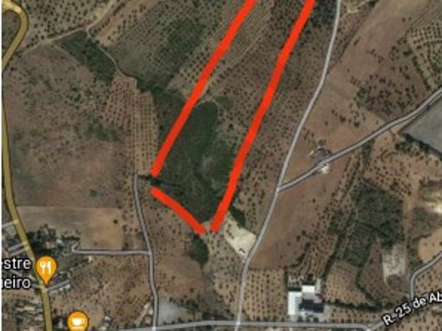 TERRENO EM ZIBREIRA/ Torres Novas