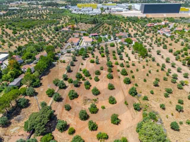 Terreno em Zibreira/ Torres Novas IMÓVEL COM BAIXA DE PREÇO