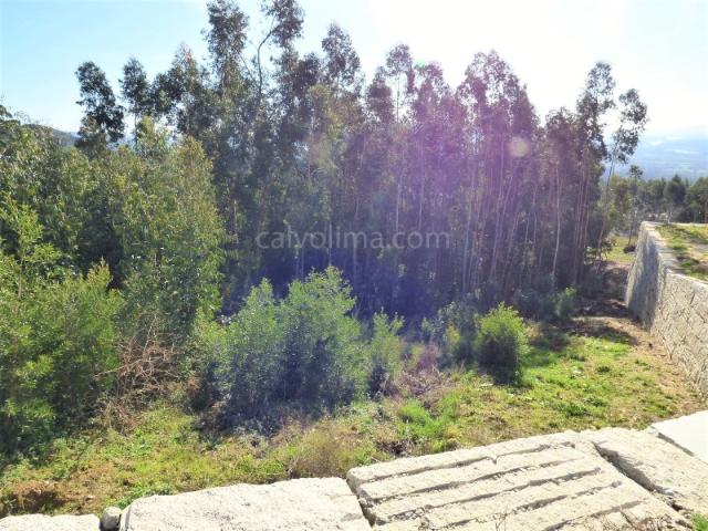 Terreno em zona de construção para venda a apenas 4 km do centro | Gandra, Valença