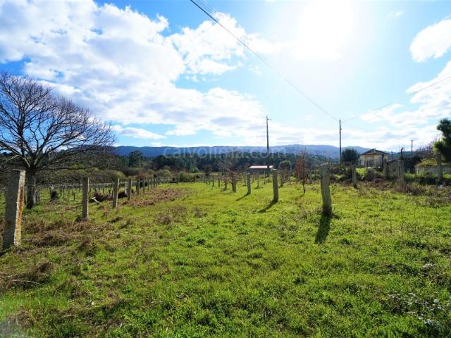 Terreno em zona de construção para venda, localizado na freguesia de Pias, em Monção