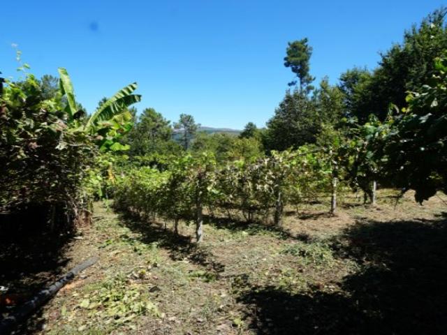 Terreno em zona de construção para venda, na freguesia de Portela, em Monção