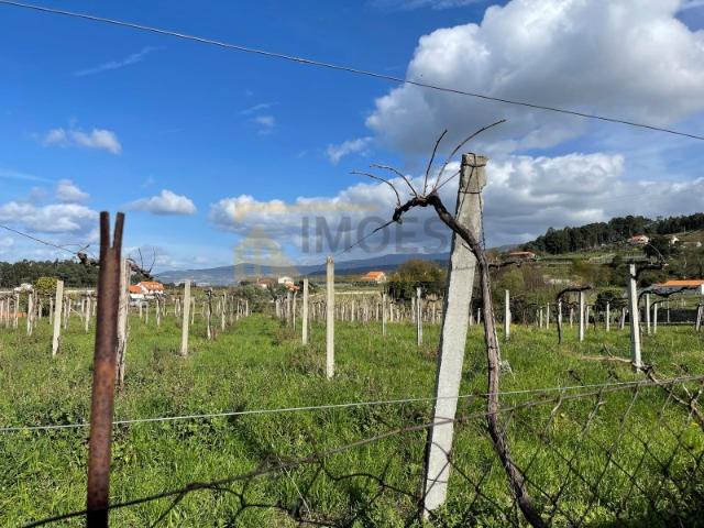 Terreno em zona de construção Sá Monção