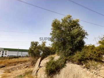 Estrada Da Quinta De Matos, Arruda dos Vinhos, Concelho de Arruda dos Vinhos, Distrito de Lisboa
