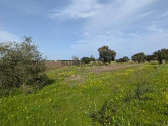 Terreno em zona urbana Montijo