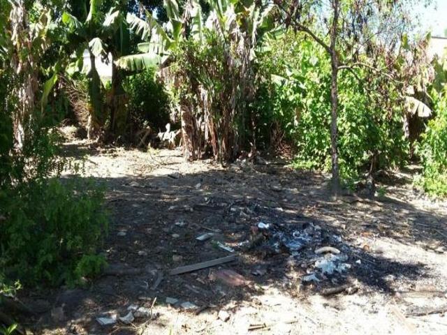 Terreno Embu Guaçu