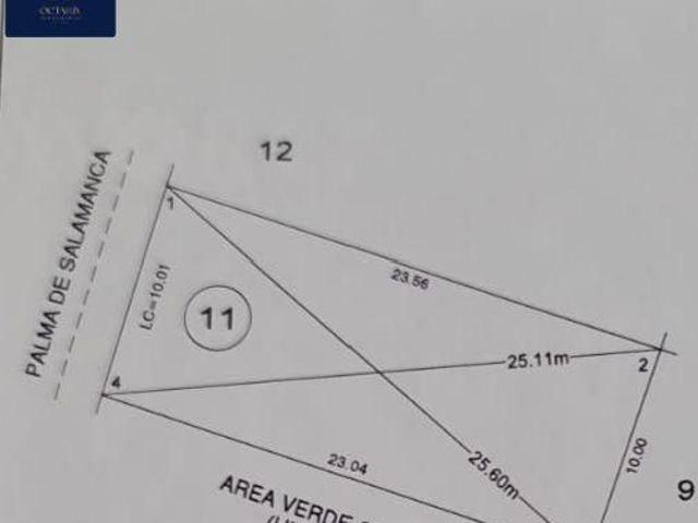 Terreno en Mayorca Residencial