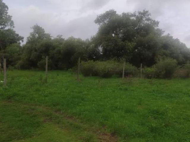 Terreno en Mazamitla