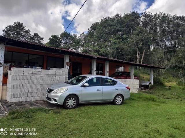 Terreno en miguel el soldado