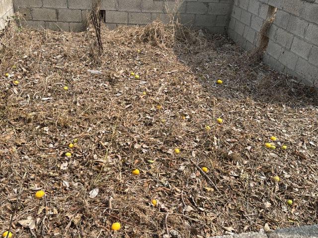Terreno en Miramar
