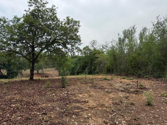 Terreno en Montemorelos