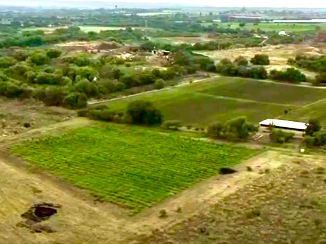 Terreno en Nuevo Pie de la Cruz, Pabellon de Hidalgo