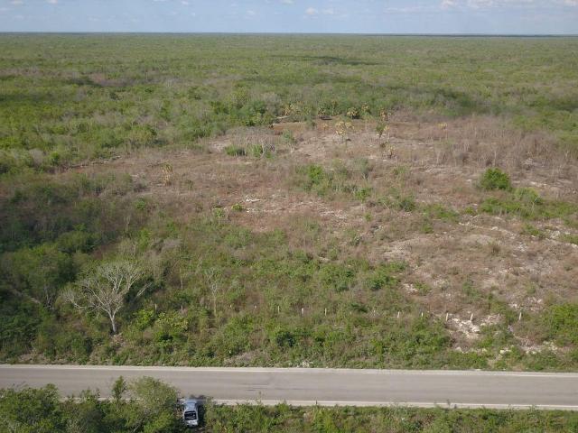 Terreno en Opichen de 264 hectarias