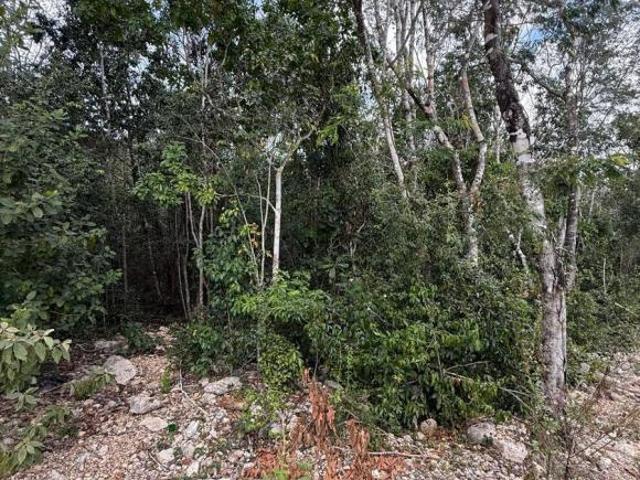 Terreno en Av. Bosques de Cristo Rey