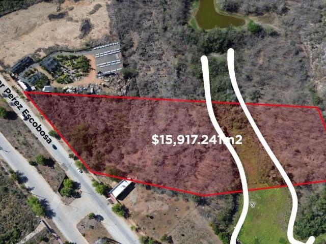Terreno en Avenida Oscar P?rez Escobosa Ejido del Venadillo en Venta