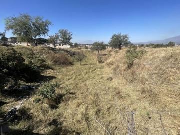 Terreno en Abasolo S/N Col. La Arenita Tala, Jalisco