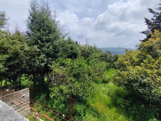 Terreno en Acatitlán, Valle de Bravo con pequeña huerta de aguacates