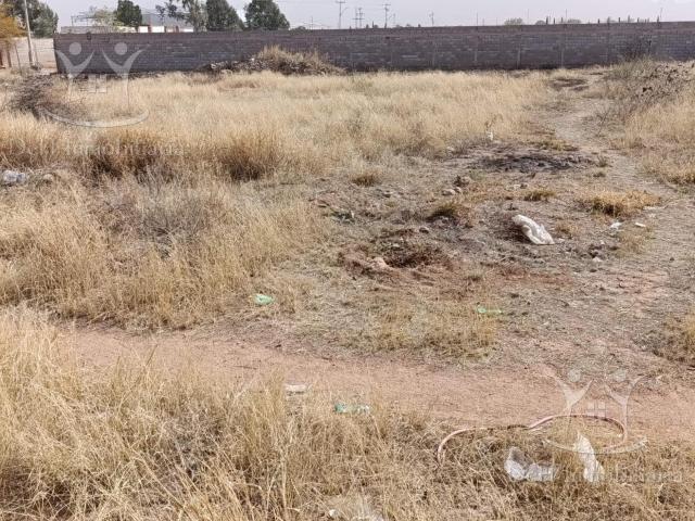 Terreno en Agr?cola Francisco Villa