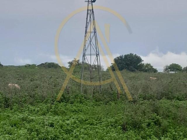 Terreno en Aldama