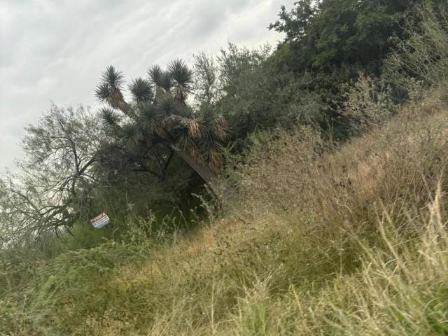 Terreno en Allende
