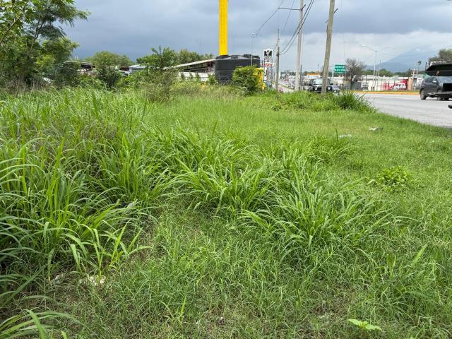 Terreno en Allende
