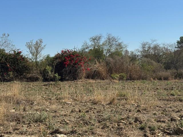 Terreno en Allende