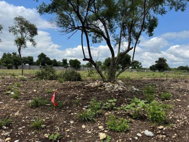 Terreno en Allende