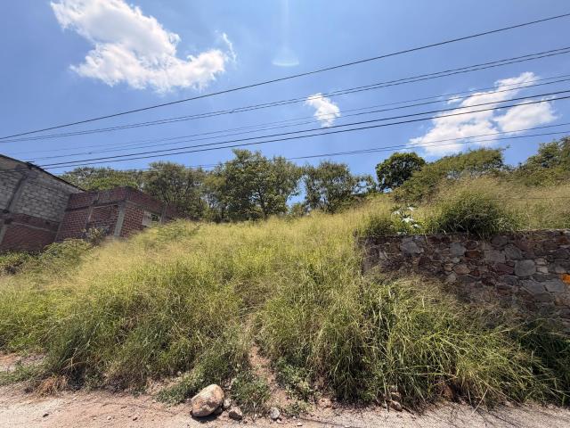 Terreno en Alta Palmira