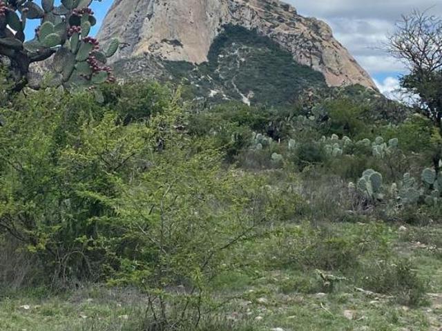 Terreno en Bernal, Querétaro. Sup. 2,047.15 m2