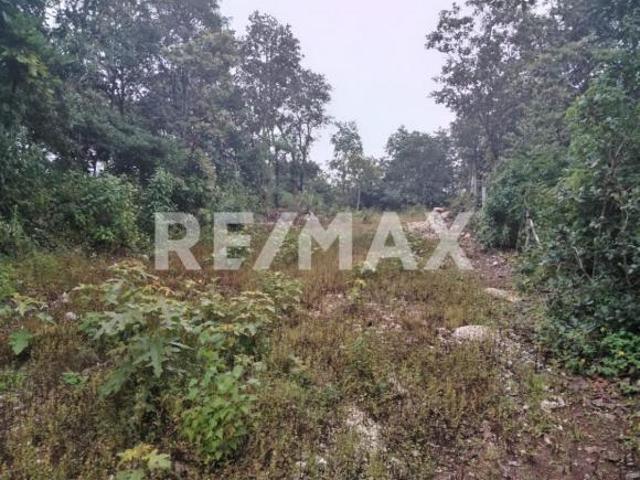 Terreno en Bosques del Sur
