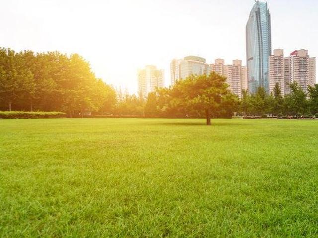 Terreno en Boulevard Bosque Real, Bosque Real, Huixquilucan