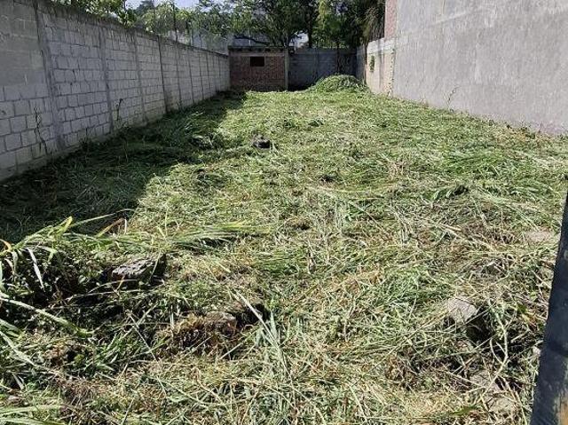 TERRENO EN CUERNAVACA CON CISTERNA