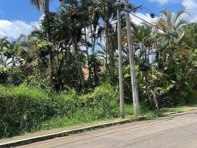 Terreno en C?rdoba Veracruz 94546